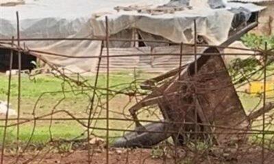 Τραγωδία στην Αχαΐα: Βρέθηκε νεκρός 26χρονος σε απομακρυσμένη περιοχή - ΦΩΤΟ