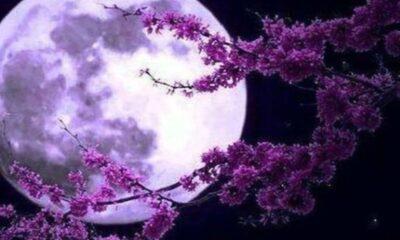 Η πανσέληνος του Μαΐου 2023 και η εντυπωσιακή συνάντησή της με τη σεληνιακή έκλειψη