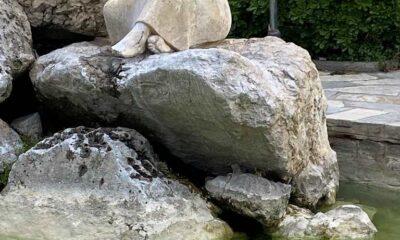 Βανδαλισμός στο Σιντριβάνι της Αγίας Σοφίας στην Πάτρα: Κεφάλι αγάλματος νεαρού κοριτσιού σπασμένο από άγνωστους - ΦΩΤΟ