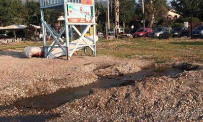 ΠΑΤΡΑ: Ανεπιθύμητη κατάσταση στην παραλία Δήμορηγόπουλου - Προβληματική παρουσία λάστιχων ποτιστικών και ανεξέλεγκτη δραστηριότητα βατράχων στη λίμνη - ΦΩΤΟ