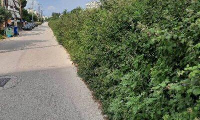 ΠΑΤΡΑ: Κάτοικοι της Έξω Αγυιάς ανησυχούν - Οι θάμνοι και τα πράνη φτάνουν στα ύψη, ζητούν άμεση παρέμβαση από τη δημοτική αρχή