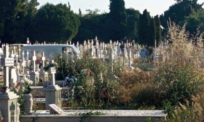 ΠΑΤΡΑ: Πολίτες καταγγέλλουν - Το κοιμητήριο, μετατράπηκε σε ζούγκλα και αυξάνεται ο κίνδυνος πυρκαγιάς