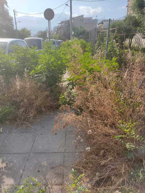 ΠΑΤΡΑ: Πράσινος Αχταρμάς - Χόρτα καλύπτουν τα πεζοδρόμια και προβληματίζουν τους πεζούς