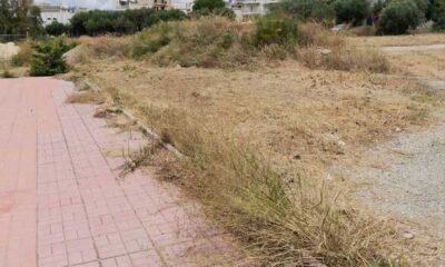 Κίνδυνος πυρκαγιάς στην Πάτρα: Αμέλεια στον καθαρισμό χόρτων δημιουργεί λοφάκια επικίνδυνα για τις κατοικίες - ΦΩΤΟ