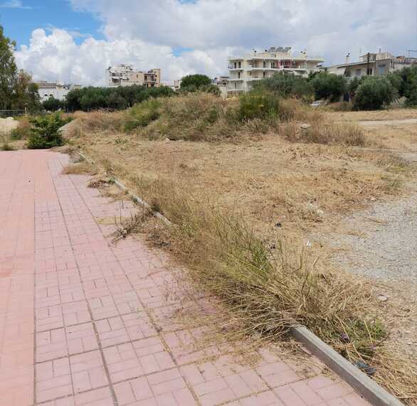 Κίνδυνος πυρκαγιάς στην Πάτρα: Αμέλεια στον καθαρισμό χόρτων δημιουργεί λοφάκια επικίνδυνα για τις κατοικίες - ΦΩΤΟ