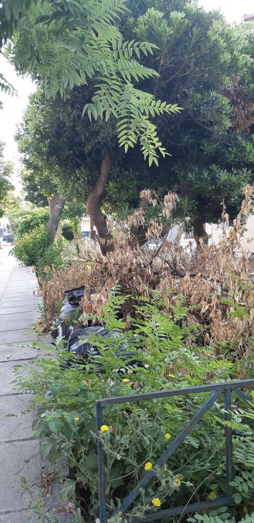 ΠΑΤΡΑ: Ανησυχία για τη μη καθαρισμένη κατάσταση κοινόχρηστων χώρων στις εργατικές κατοικίες του Αγίου Νεκταρίου - Ανάγκη άμεσης παρέμβασης και συντήρησης