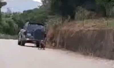 Αποτρόπαιο περιστατικό βασανισμού ζώου στο Μουζάκι - Κατοίκος έσερνε με αυτοκίνητο τετράποδο - ΒΙΝΤΕΟ