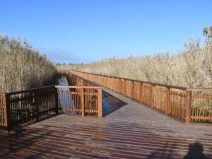 ελος αγυιας