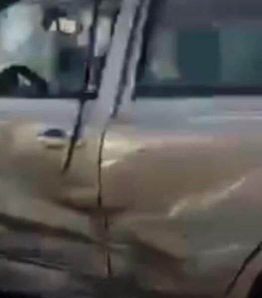 ΠΑΤΡΑ: Τροχαίο ατύχημα στην οδό Πανεπιστημίου πίσω από το Le Coq - Ελαφρύς τραυματισμός και μεγάλες ζημιές