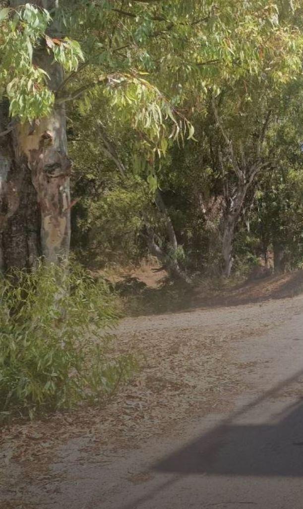 ΠΑΤΡΑ: Αναζητείται η ταυτότητα ηλικιωμένου άνδρα περίπου 70 ετών που βρέθηκε μουμιοποιημένο στο πεδίο βολής της Αρόης