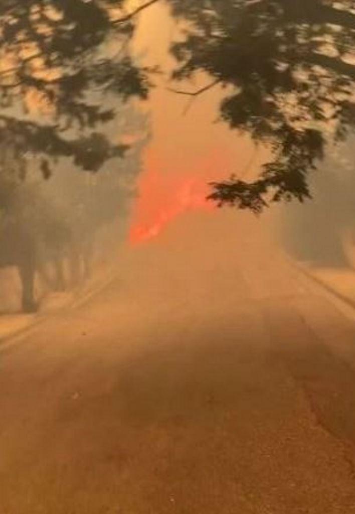 Πανικός στη Σαρωνίδα: Τρομακτικό βίντεο από τις εξάπλωση φωτιάς - Κάτοικοι αναζητούν ασφάλεια σε μια αποπνικτική ατμόσφαιρα