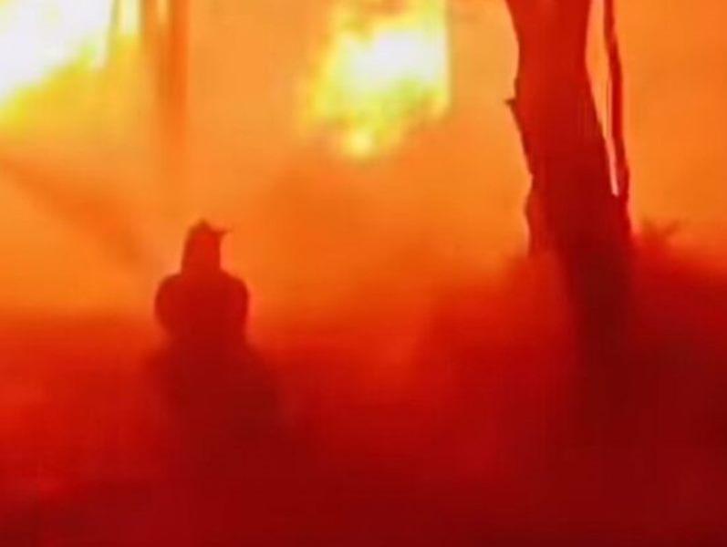 "Φύγε, δεν κόβεται" - Σοκαριστικές εικόνες από την ανεξέλεγκτη πυρκαγιά στη Ρόδο - Οι πυροσβέστες αντιμέτωποι με τις φλόγες σε απόσταση αναπνοής - ΒΙΝΤΕΟ