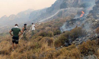 Κατάσταση Συναγερμού: Εξάπλωση πυρκαγιών σε 13 περιοχές της Ελλάδας - Επικίνδυνες συνθήκες διαδίδουν τις φλόγες