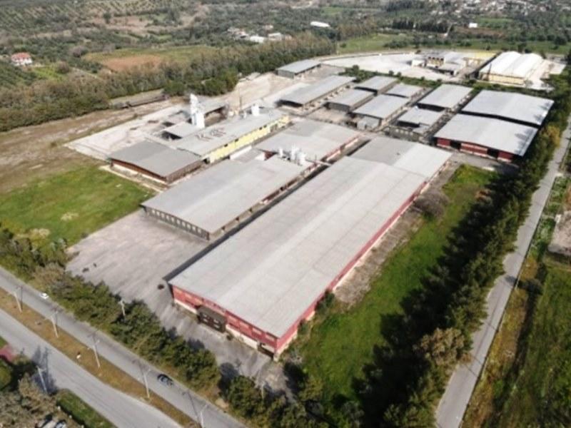 ΠΑΤΡΑ: Βγαίνει σε πλειστηριασμός το ακίνητο της "ΑΒΕΞ" στη Βιομηχανική Περιοχή με τιμή προσφοράς 4.344.000 ευρώ