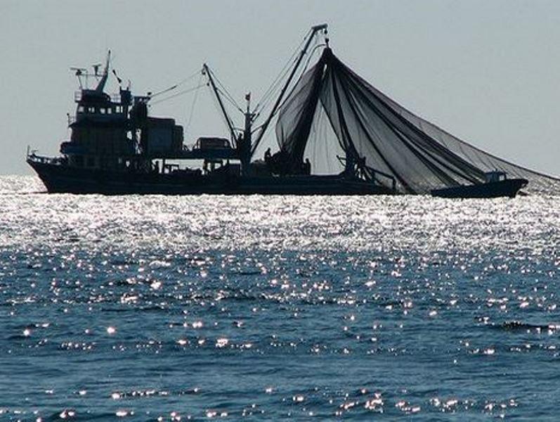 ΠΑΤΡΑ: Γνωστός Ιχθυοπαραγωγός - Αλιευτικό δεσμευμένο για κατηγορίες ρύπανσης της θάλασσας