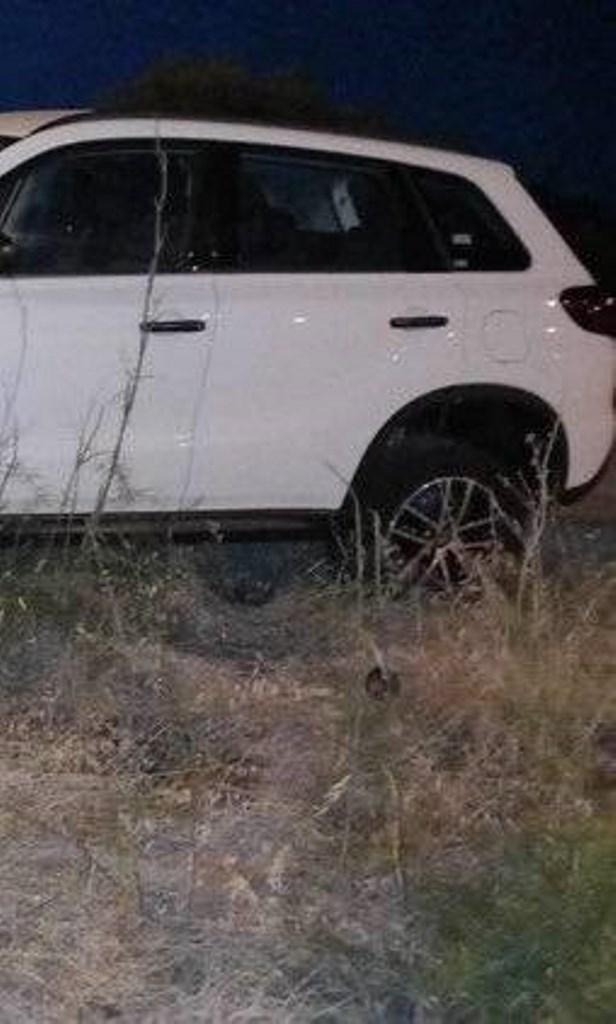 ΠΑΤΡΑ: Αδέσποτα στο Ρίο - Η αγωνία για ατυχήματα και η αναζήτηση λύσεων