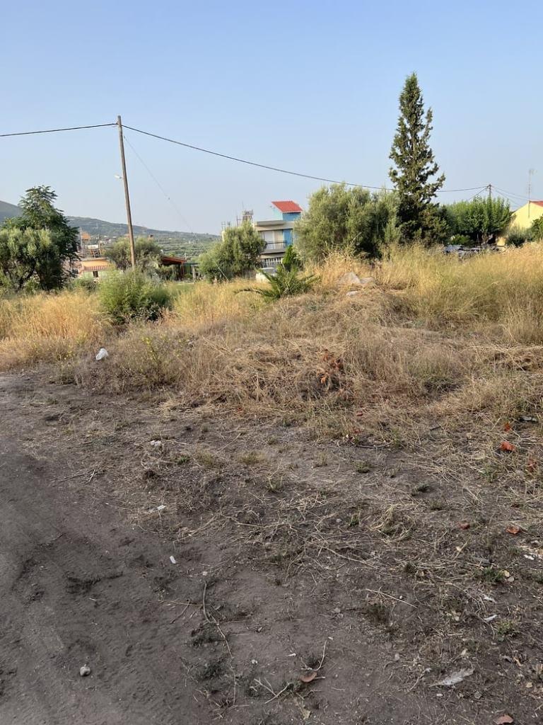 ΠΑΤΡΑ: Πυρκαγιά στα Δεμένικα - Ανησυχία για ακαθάριστο οικόπεδο και έλλειψη δράσης