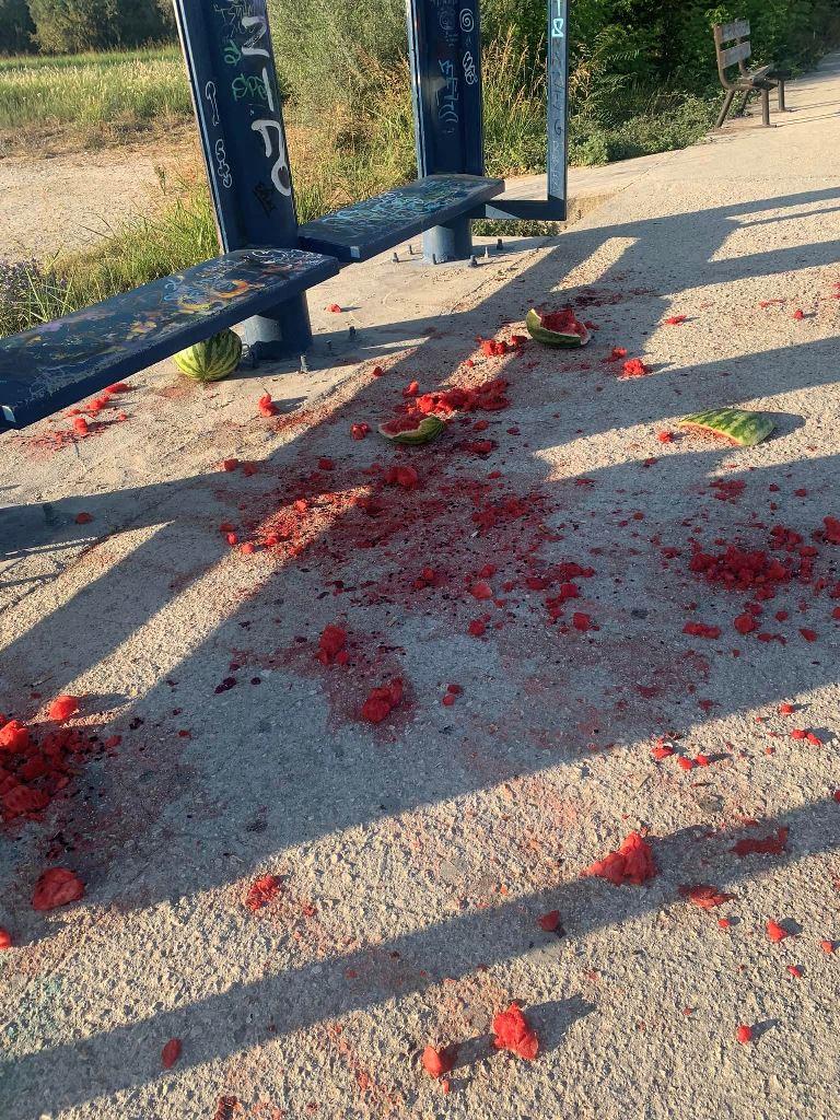 ΠΑΤΡΑ: Αποτελέσματα Ανευθυνότητας στη Στάση του Προαστιακού Σιδηρόδρομου Μποζαΐτικα - Ανησυχητική Κατάσταση Ακαθαρσίας και Αποσιώπησης Ατομικής Ευθύνης