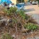 ΠΑΤΡΑ: Αναμονή Δράσης - Προβλήματα Καθαριότητας στην Οδό Παυλοπούλου στην Αρόη