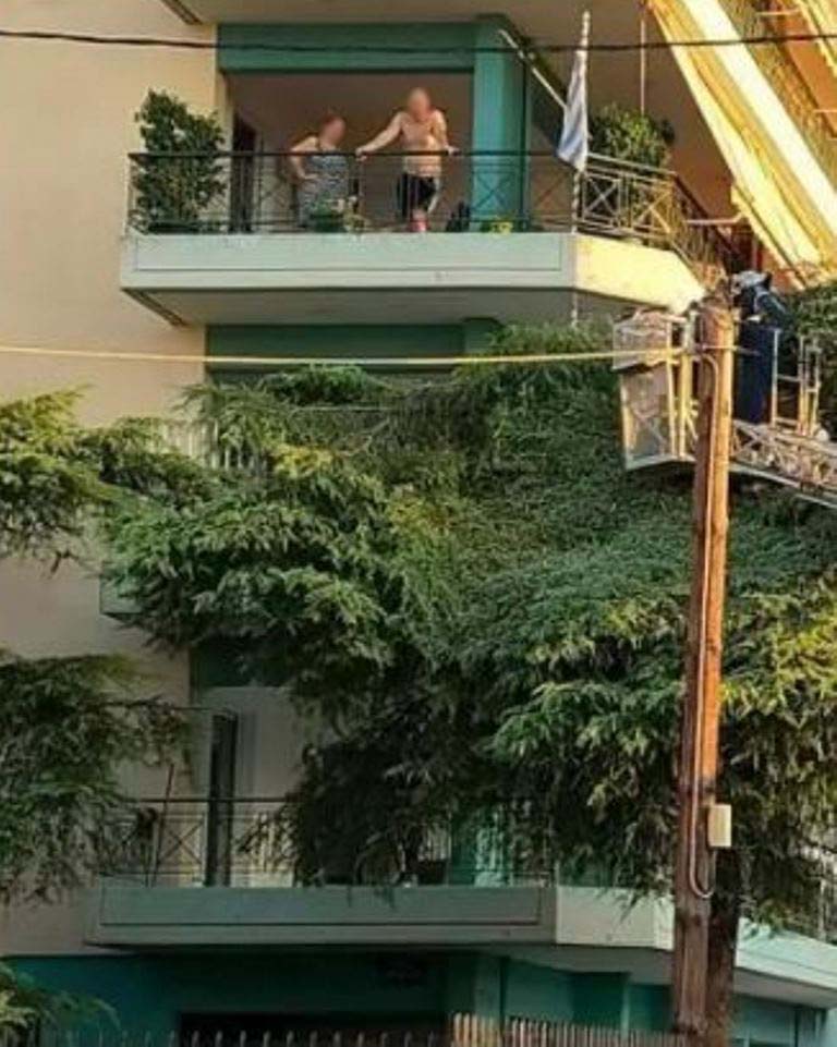 ΠΑΤΡΑ: Ισχυροί Βοριάδες Προκαλούν Ζημιές - Δέντρο Σπάστηκε από τον Άνεμο