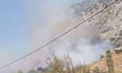 Μεγάλη Πυρκαγιά στο Κρυονέρι Ναυπακτίας: Επιχείρηση Ετοιμότητας από την Πυροσβεστική με Ισχυρούς Άνεμους