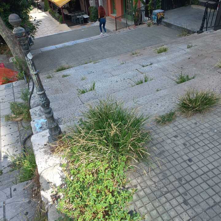 ΠΑΤΡΑ: Το Πρόβλημα της Φροντίδας των Κοινόχρηστων Χώρων