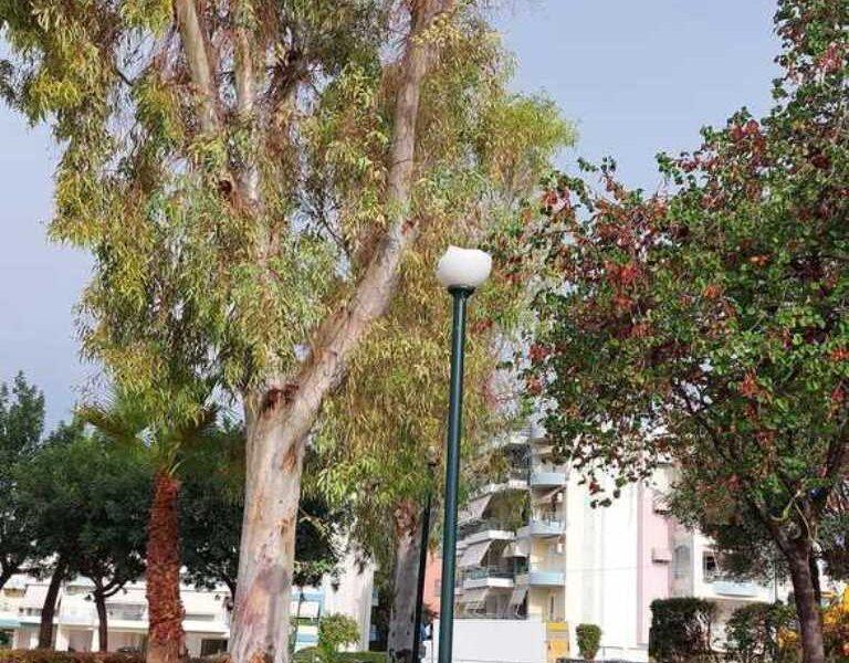 ΠΑΤΡΑ: Βανδαλισμοί - Η Προστασία των Κοινόχρηστων Χώρων και η Ανάγκη Δράσης - ΦΩΤΟ