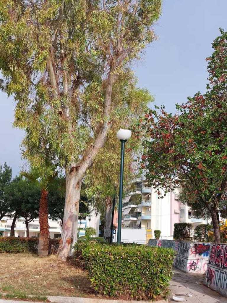 ΠΑΤΡΑ: Βανδαλισμοί - Η Προστασία των Κοινόχρηστων Χώρων και η Ανάγκη Δράσης - ΦΩΤΟ