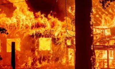 Απανθρακωμένος Άνδρας Βρέθηκε στο Κουνουπέλι Κάτω από Αδιευκρίνιστες Συνθήκες και Δασική Φωτιά