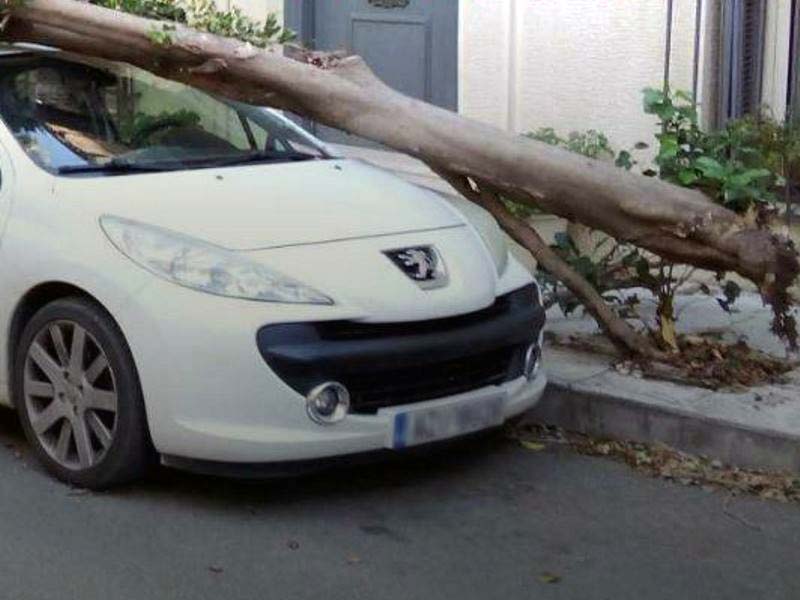 ΠΑΤΡΑ: Σφοδροί Άνεμοι Προκαλούν Προβλήματα - Δένδρα Ξεριζώνονται και Κινδυνεύουν Κάτοικοι και Αυτοκίνητα