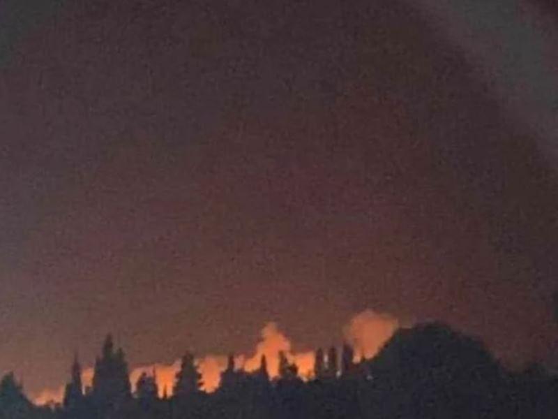 Φωτιά στον υδροβιότοπο της Λάμιας: Πυρκαγιά στο Δάσος της Στροφυλιάς απειλεί τον Πολύτιμο Υδροβιότοπο - ΦΩΤΟ