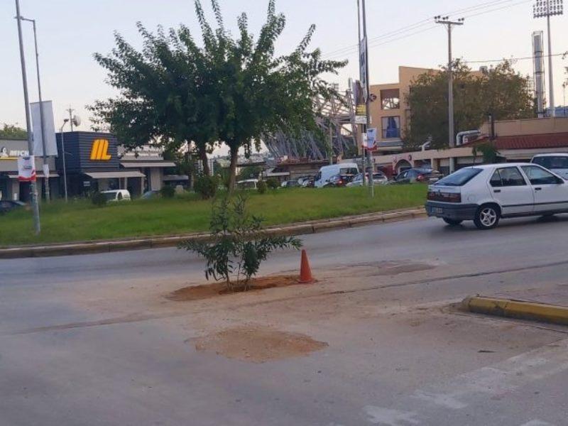 ΠΑΤΡΑ: Δημότες τοποθετούν φυτό για να καλύψουν λακκούβα στον κόμβο του ΤΕΙ στο Μπεγουλάκι - Ερωτηματικά για τη χρήση χρώματος αντί ασφάλτου