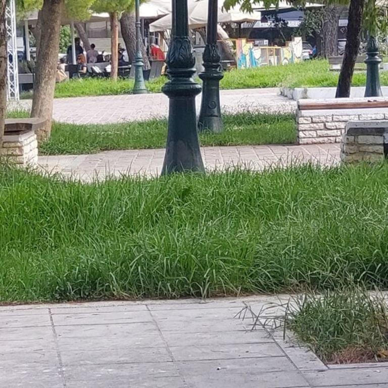 ΠΑΤΡΑ: Ψηλαλώνια - Η Παρακμή μιας Σημαντικής Πλατείας και οι Εκκλήσεις για Ανανέωση