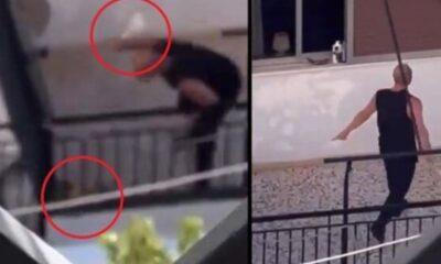 Κακοποίησης Τετράποδου Μετά τη Διαδικτυακή Καταγραφή του Περιστατικού - ΒΙΝΤΕΟ