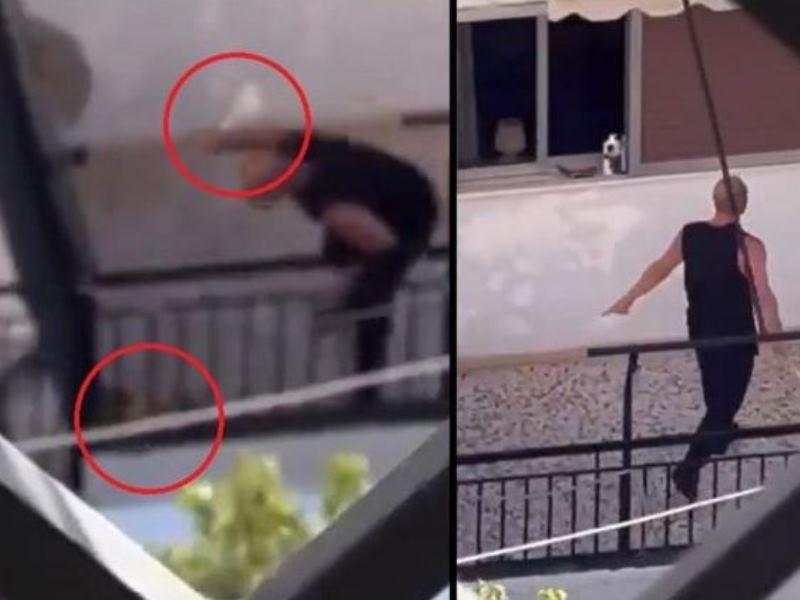 Κακοποίησης Τετράποδου Μετά τη Διαδικτυακή Καταγραφή του Περιστατικού - ΒΙΝΤΕΟ