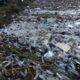Περιβαλλοντική καταστροφή στον ποταμό Λάρισσου: Χιλιάδες πλαστικά μπουκάλια απειλούν λίμνη και θάλασσα - ΦΩΤΟ