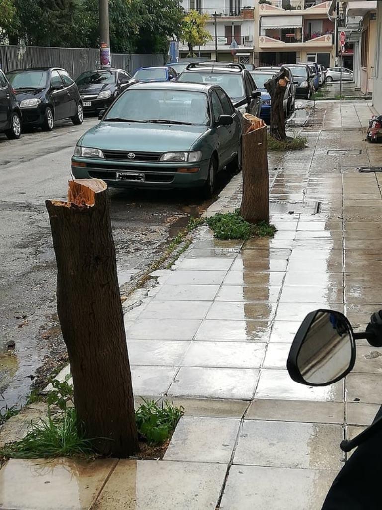 ΠΑΤΡΑ: Ανεξιχνίαστες κοπές δέντρων στα Προσφυγικά - ΦΩΤΟ
