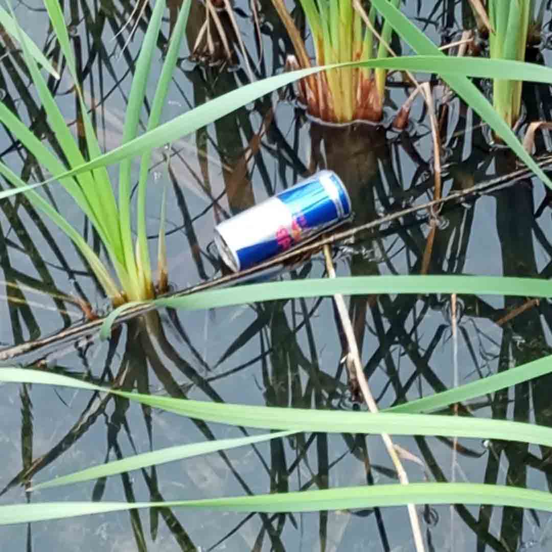 ΠΑΤΡΑ-Πλάζ: Η ανευθυνότητα της ανθρώπινης συμπεριφοράς απέναντι στη φύση - ΦΩΤΟ