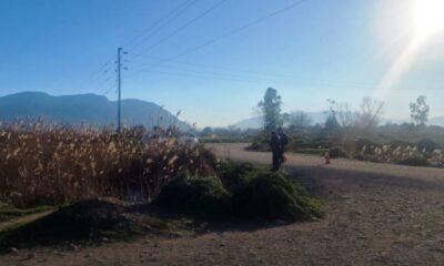 Σε Βαθιά Έρευνα η Υπόθεση του Μπάμπη: Στρατιωτικοί Ναρκαλιευτές σε Αναζήτηση Ενδείξεων για το Φονικό