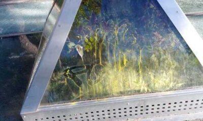 ρυμμένα Μυστικά στα Ψηλαλώνια: Η Ανάγκη Αναστήλωσης ενός Αρχαιολογικού Θησαυρού στην Πάτρα - ΦΩΤΟ