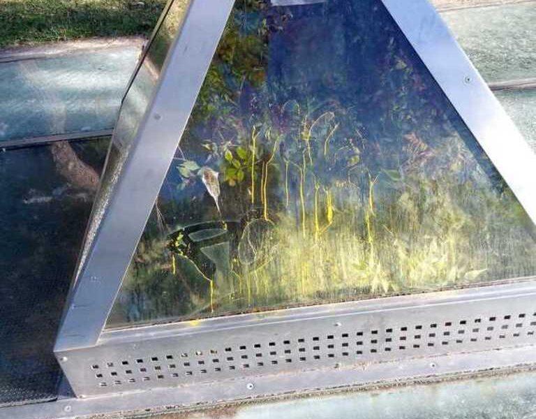 ρυμμένα Μυστικά στα Ψηλαλώνια: Η Ανάγκη Αναστήλωσης ενός Αρχαιολογικού Θησαυρού στην Πάτρα - ΦΩΤΟ