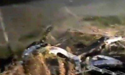 Τροχαίο Στη Μίνι Περιμετρική της Πάτρας: Δικυκλιστής Τραυματίζεται Ελαφρά κοντά στο Υδραγωγείο - ΦΩΤΟ