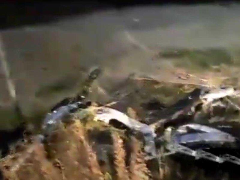 Τροχαίο Στη Μίνι Περιμετρική της Πάτρας: Δικυκλιστής Τραυματίζεται Ελαφρά κοντά στο Υδραγωγείο - ΦΩΤΟ