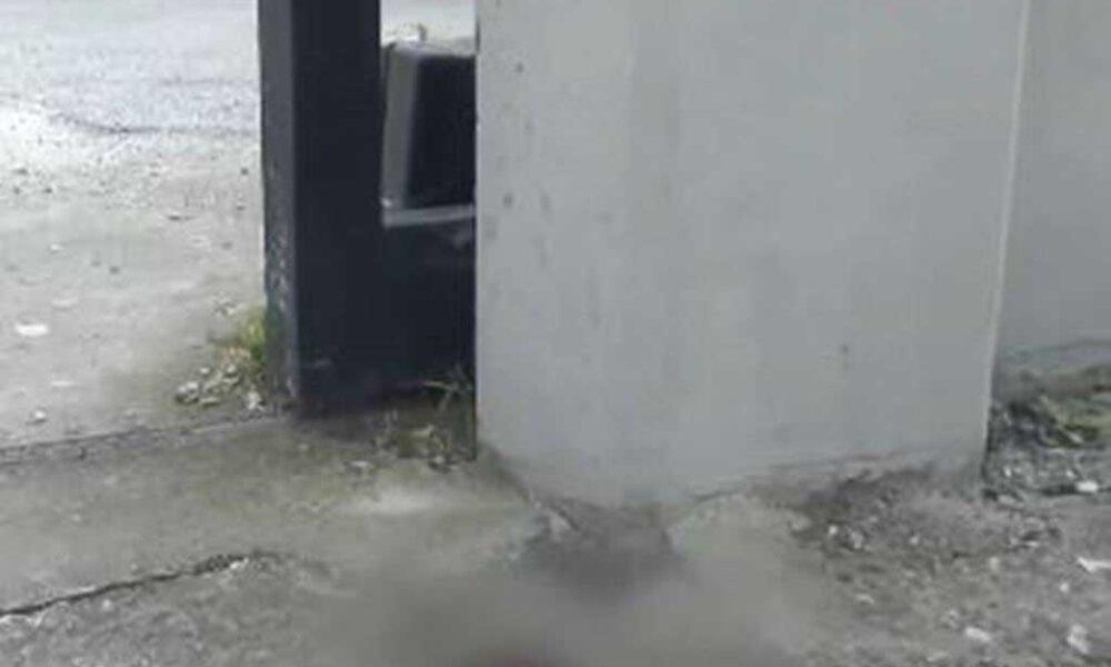 Βίντεο ντοκουμέντο - Άγρια επίθεση με μαχαίρι: Γυναίκα επιβίωσε και ζήτησε βοήθεια από συναδέλφους