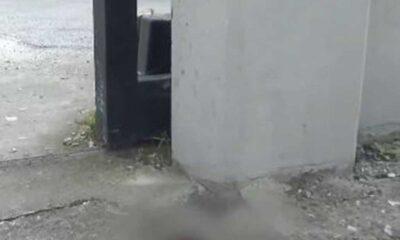 Βίντεο ντοκουμέντο - Άγρια επίθεση με μαχαίρι: Γυναίκα επιβίωσε και ζήτησε βοήθεια από συναδέλφους