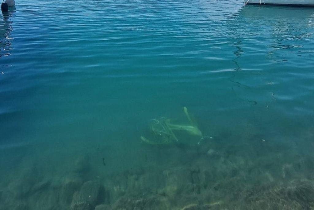 Η Μαρίνα Πάτρας Έχει τα Μυστικά της: Ποδήλατο Ξεκουράζεται στον Βυθό - ΦΩΤΟ