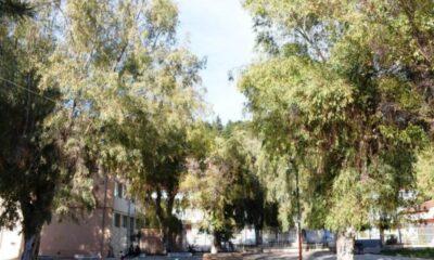 ΠΑΤΡΑ-Σοβαρό επεισόδιο με μαχαίρι στο Βλατερό: Άνδρες της ΔΙΑΣ στο σημείο