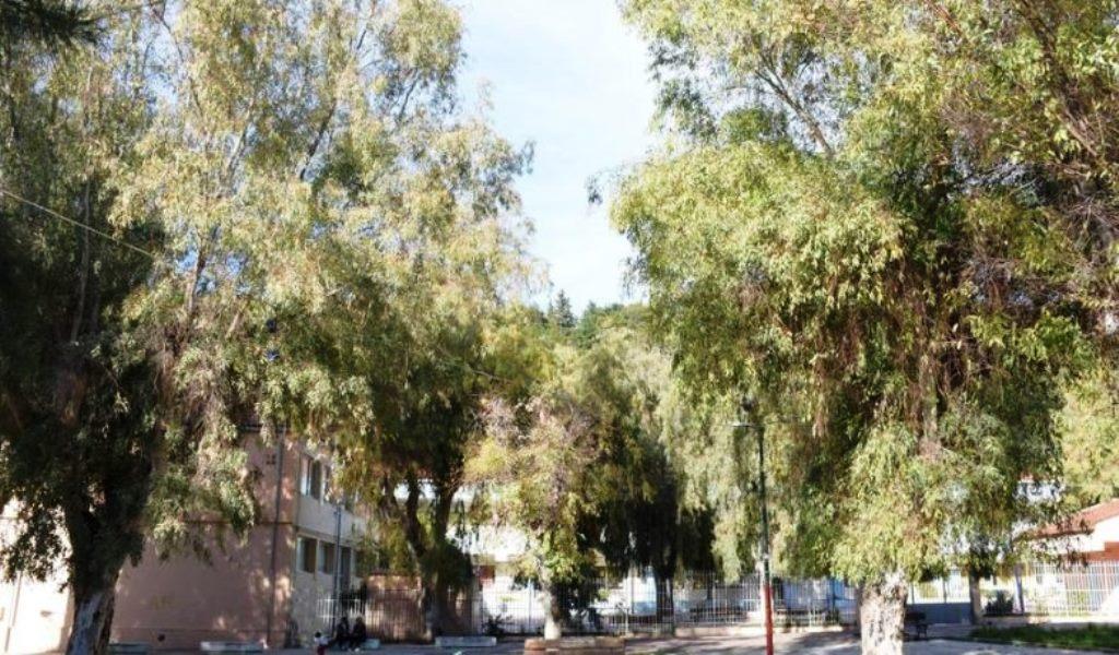 ΠΑΤΡΑ-Σοβαρό επεισόδιο με μαχαίρι στο Βλατερό: Άνδρες της ΔΙΑΣ στο σημείο
