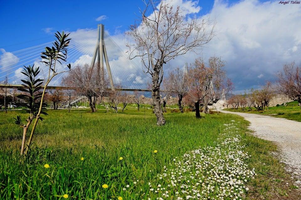 ΠΑΤΡΑ-Άνοιξη στο Κάστρο του Ρίου: Η Μαγεία της Φύσης Αναδεικνύεται μέσα από τον Φακό