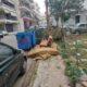 ΠΑΤΡΑ-Καναπές και στρώμα "κοσμούν" την οδό Λεμεσού: Πού χάνεται η αίσθηση ευθύνης; - ΦΩΤΟ